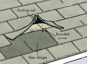 fix a leaky roof